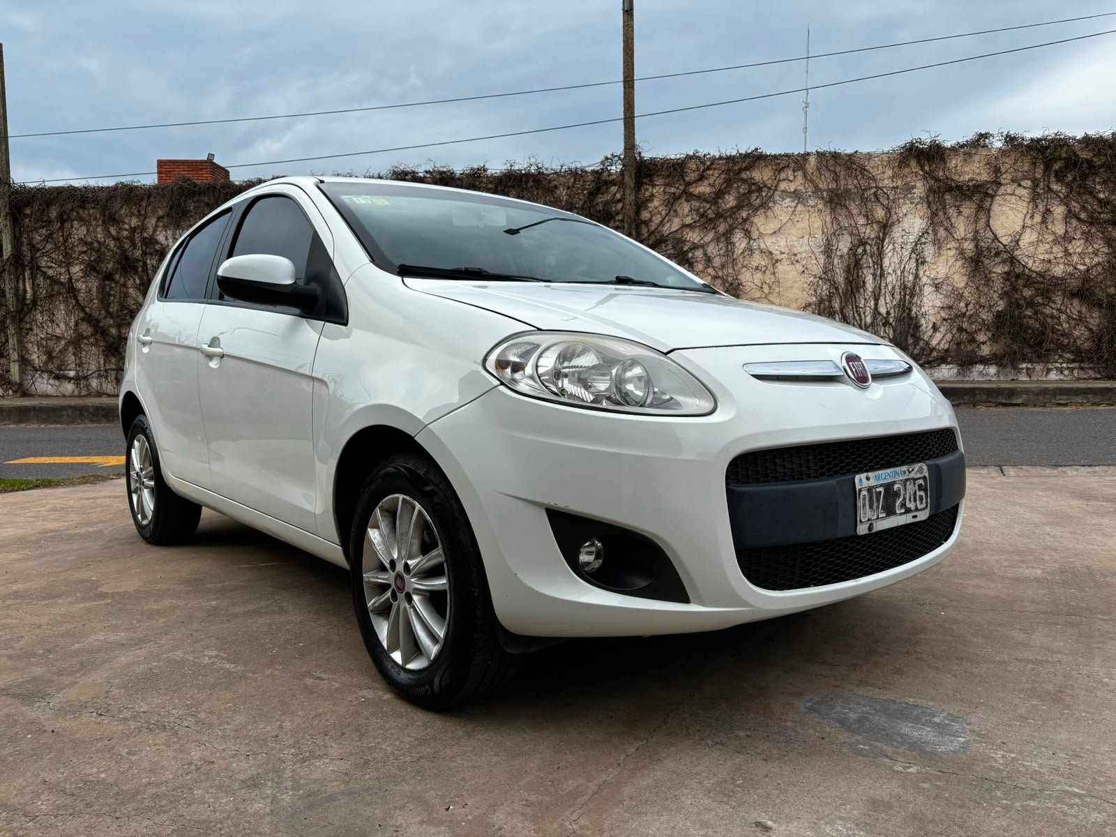 Montanari Fedra FIAT PALIO